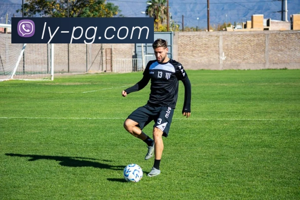 pg电子平台生态图